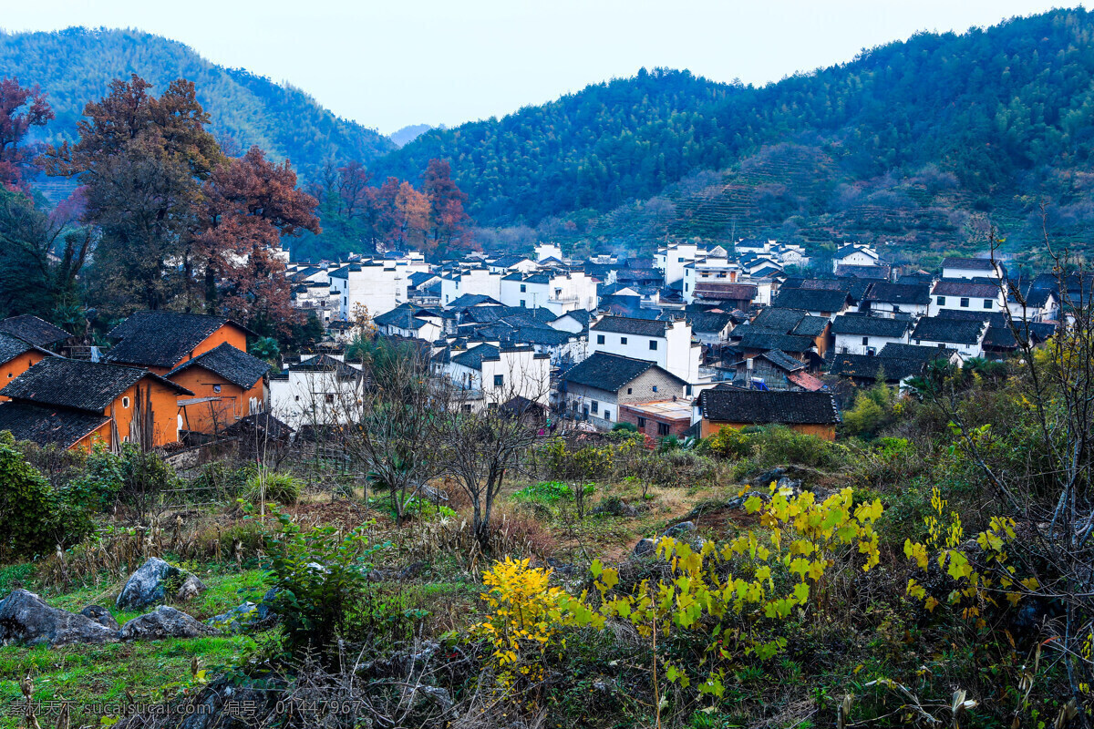 江西婺源 石城程村 村庄 部落 古树群 自然地理 自然环境 自然景观 自助游 国内旅游 旅游摄影 江西 婺源 石城 程村