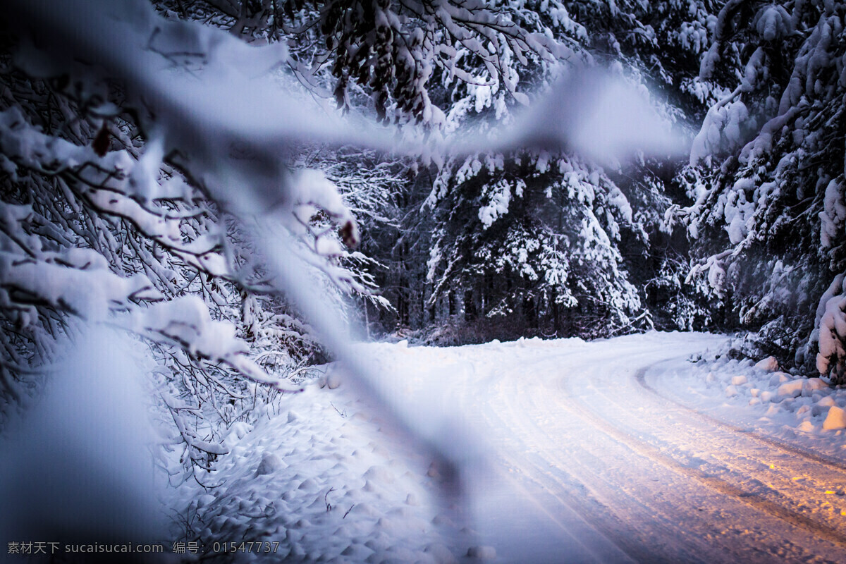 美丽 冬天 公路 风景 马路雪景 道路雪景 冬天雪景 冬季风景 雪地风景 树林风景 自然风景 美丽风景 美景 景色 山水风景 风景图片
