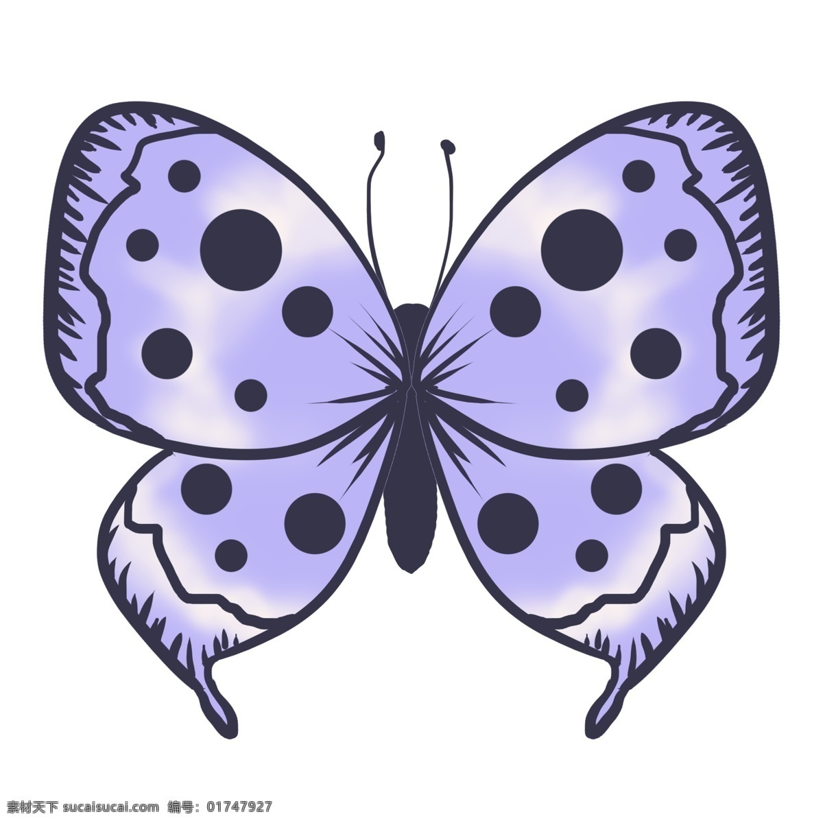 动物 昆虫 蝴蝶 蓝色 写实 斑点 卡通