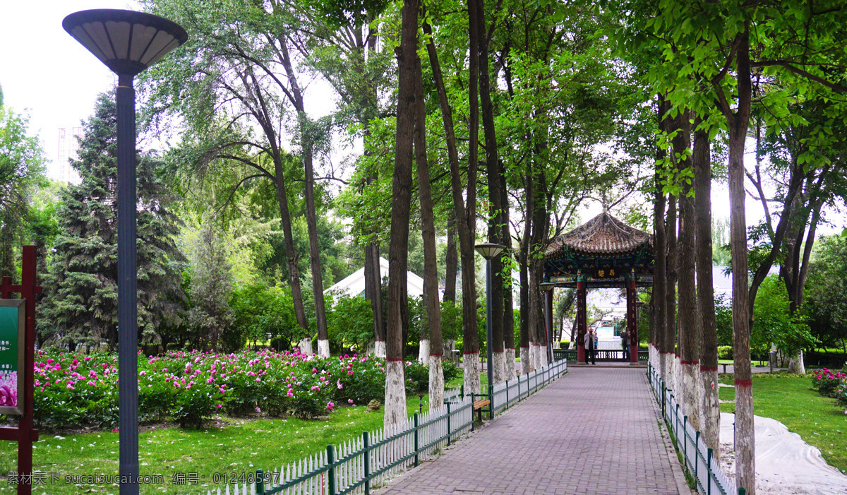 休闲去处 青海省 西宁市 人民公园 清晨 风景 风光 旅游摄影 国内旅游