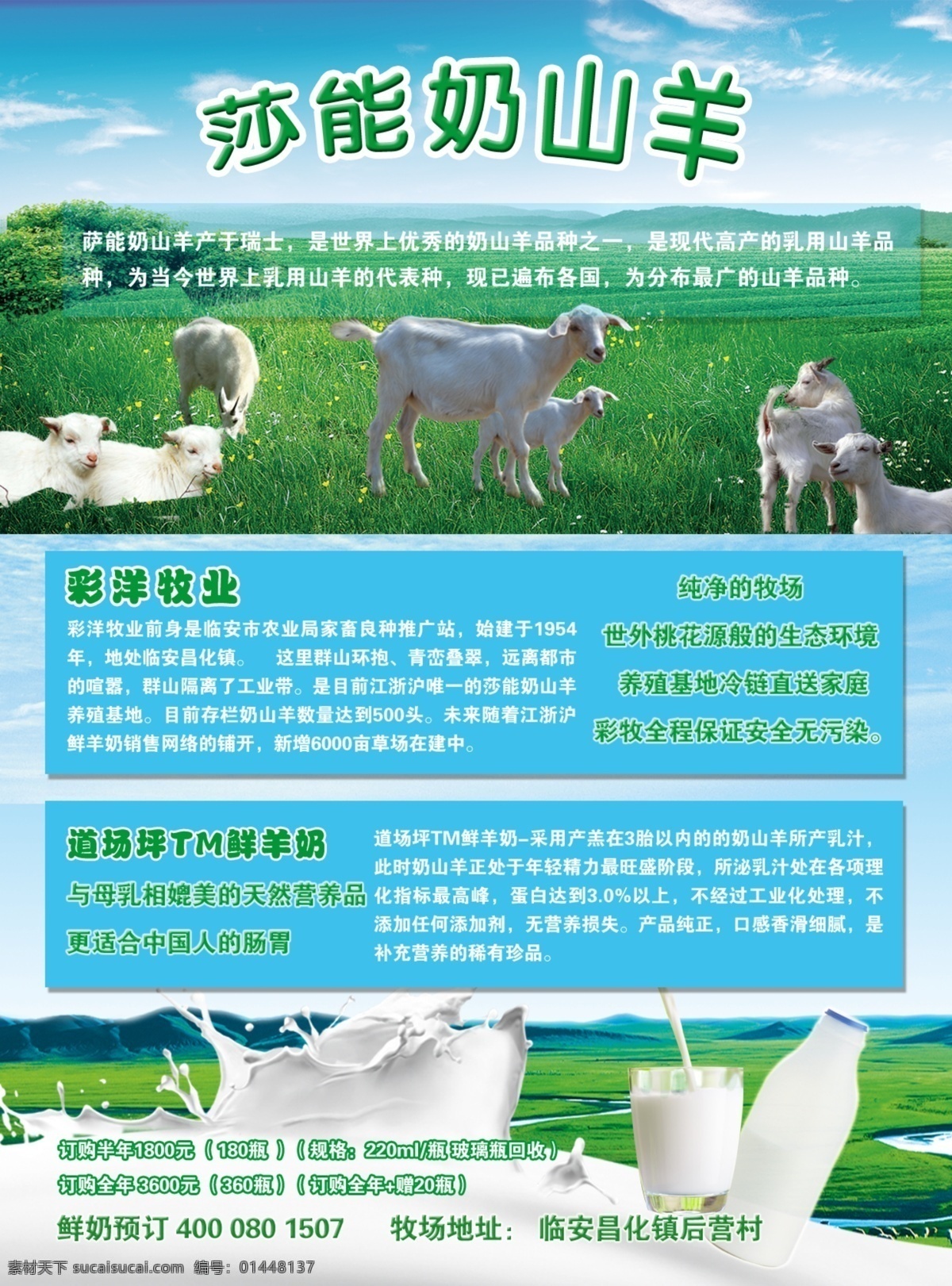 牛奶 山羊 海报 海报牛奶 山羊奶 草原 牛奶瓶 牛奶宣传 广告设计模板 源文件