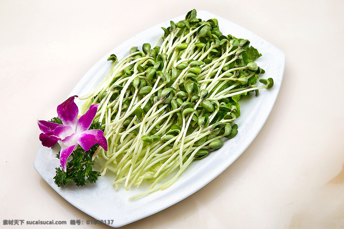 绿豆芽 绿色蔬菜 火锅食材 美食 高清菜谱用图 餐饮美食 传统美食 西餐美食