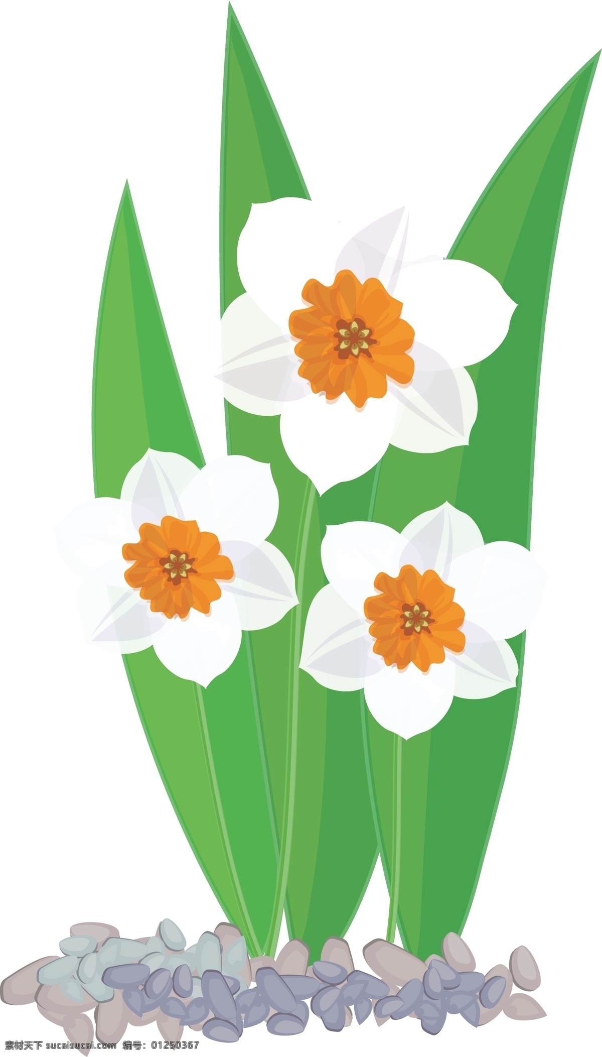 卡通 花丛 矢量 商用 花朵 矢量图 元素 白色小花