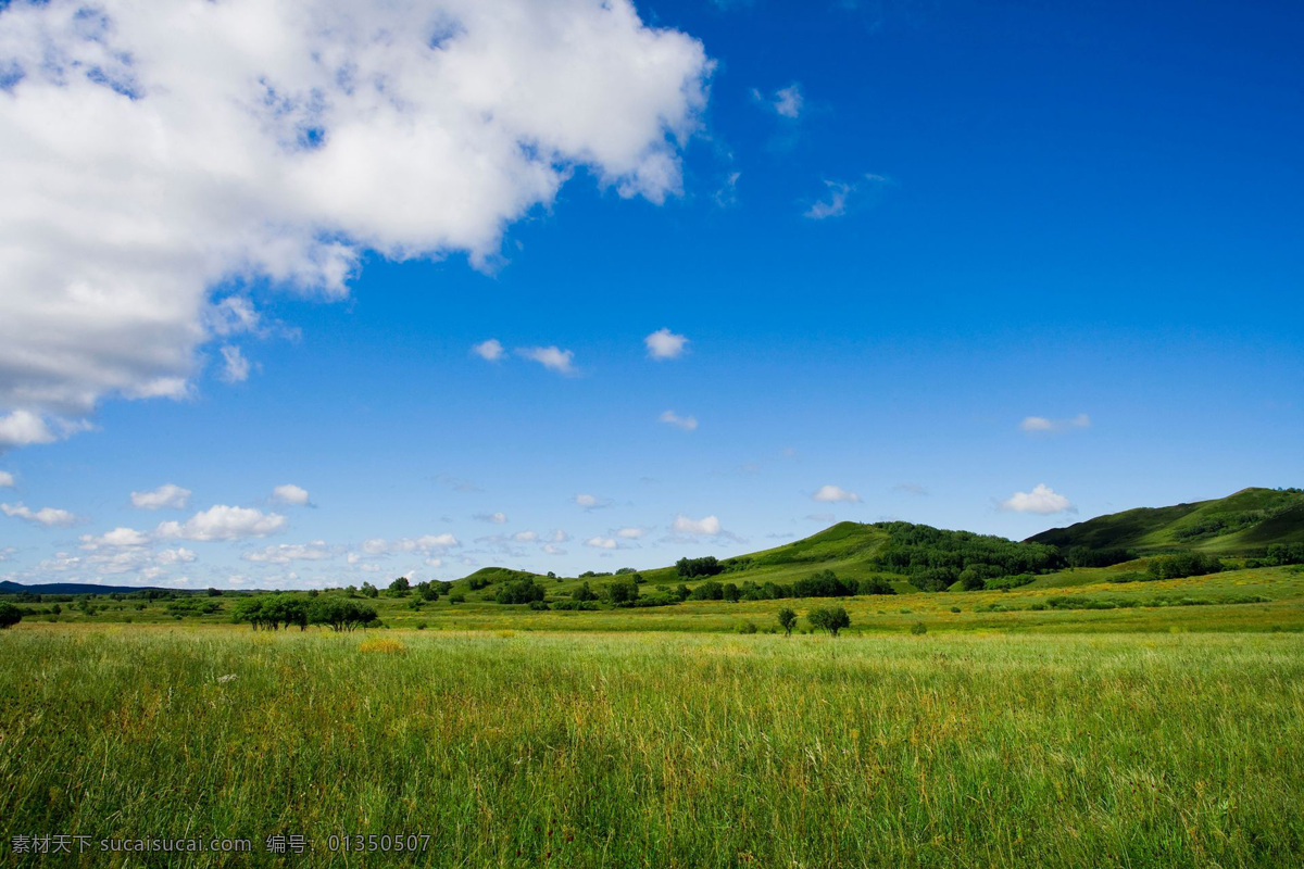 草原 春天 风景 蓝天白云草地 美景 青草 壮观 蓝天 白云 草地 自然 美丽自然 自然风景 自然景观 高清 psd源文件