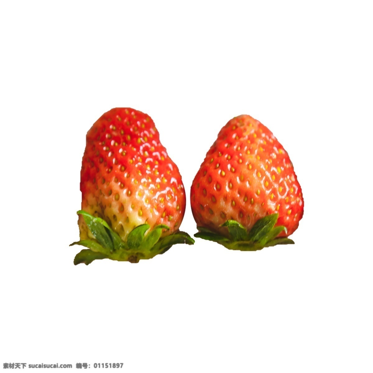 两个 新鲜 草莓 两个草莓 组合 植物 水果 美味 甜食 甘甜 水润 多汁 红色 绿叶 叶子