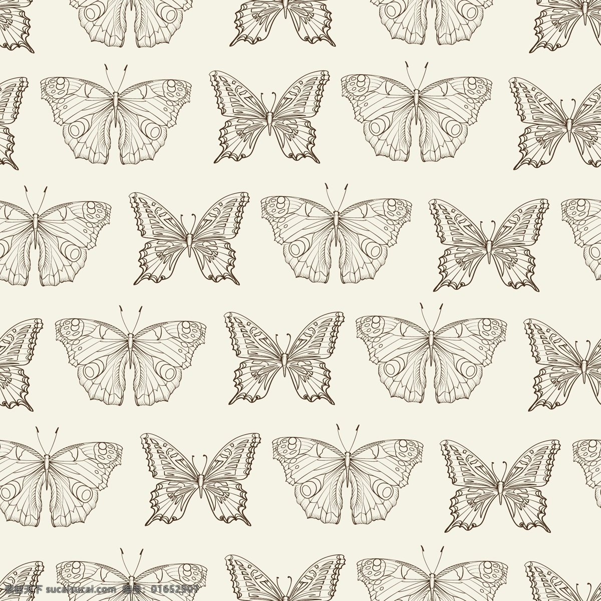 蝴蝶图案背景 背景 图案 动物 蝴蝶 壁纸 无缝模式 图案背景 无缝 轮廓 bug 概述