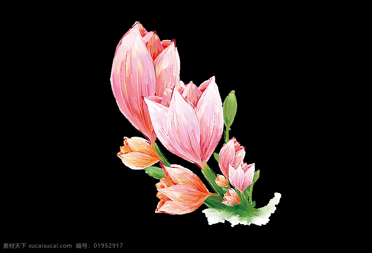 手绘 卡通 粉色 花朵 装饰 绿色 浪漫 叶子 花苞 郁金香