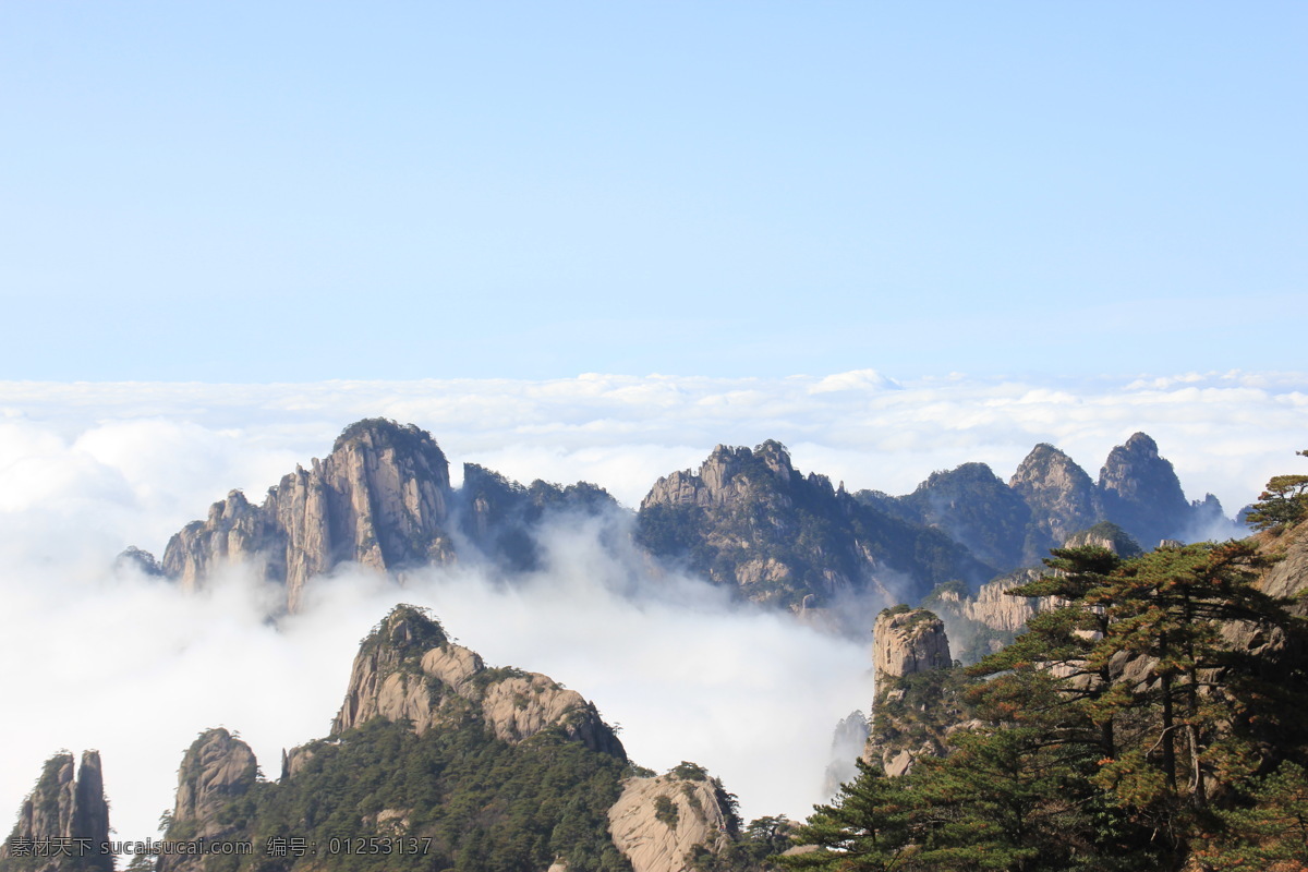 黄山 云海 云雾 山顶云雾 雾海 日出 草木 山峰 树林 高山 石头 远峰 怪石 自然景观 旅游摄影 自然风景