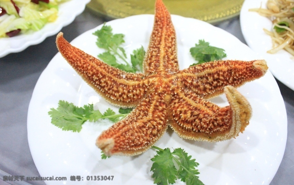 清蒸海星 清蒸 海星 水煮 盐水 海鲜 餐饮摄影 餐饮美食 传统美食