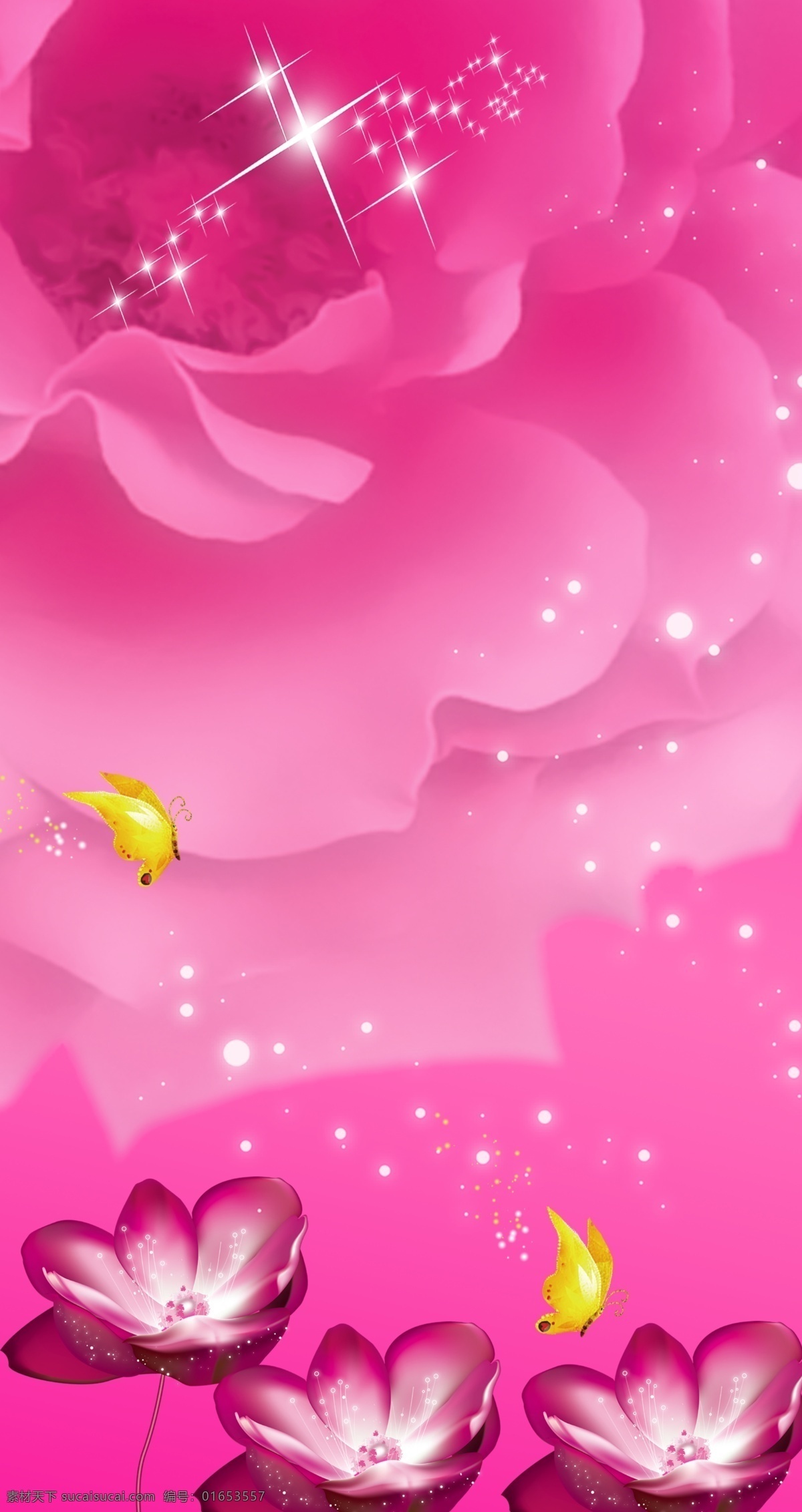 玫瑰 蝴蝶 星光 熠熠 粉色 背景 星光熠熠 粉色背景 鲜花