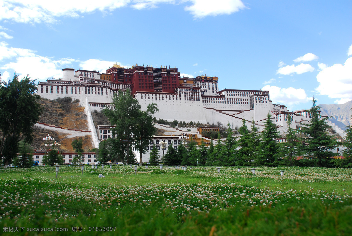 布达拉宫 拉萨 旅游 风景 草地 建筑景观 自然景观