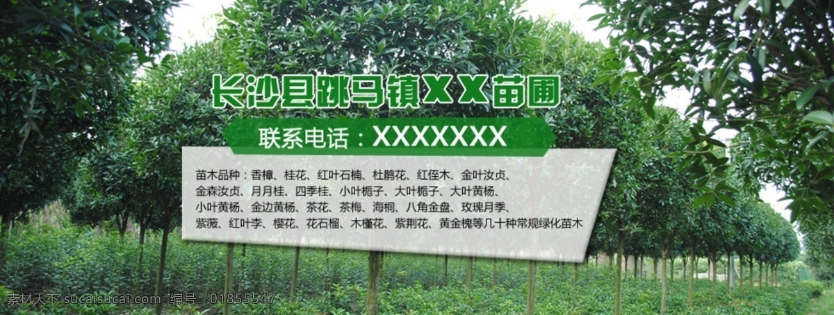 苗木 网站 banner 苗圃基地 苗木网站 网页素材 其他网页素材