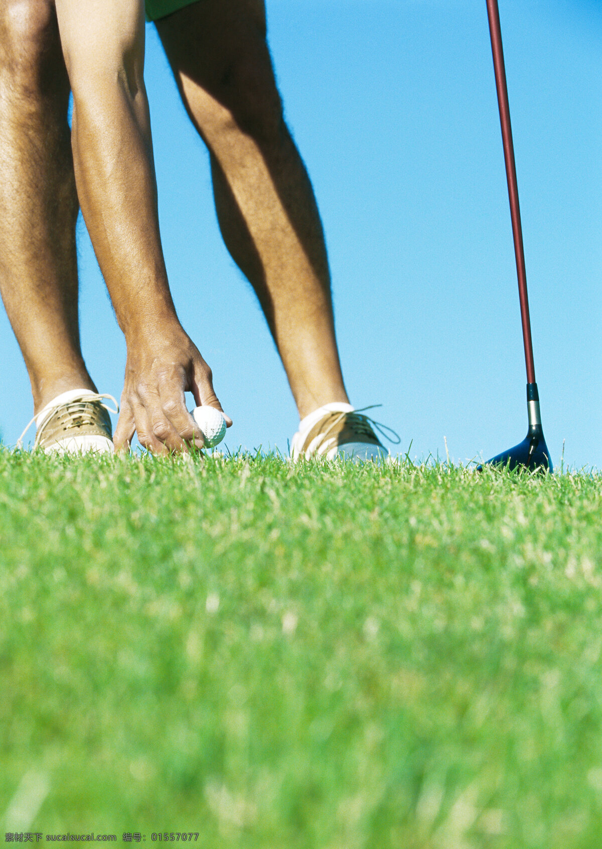 草地 上 固定 好 高尔夫球 球 人物 男士 手势 放球 拿着 高尔夫球棒 绿草地 草坪 高尔夫 休闲 娱乐 体育用品 运动 高清图片 体育运动 生活百科