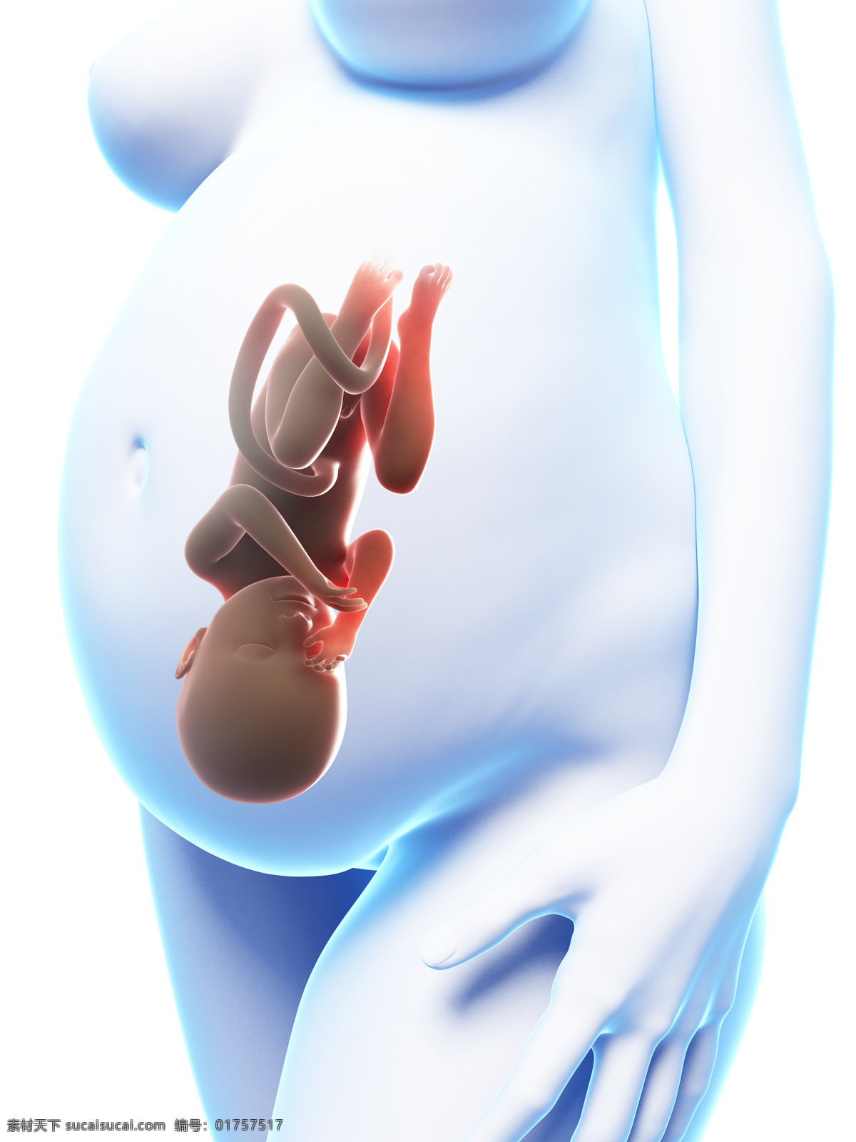 怀孕 科学 科学研究 母亲 生命 生物 现代科技 科技 设计素材 模板下载 怀孕科技 卵细胞 子 医学 授课 模拟图 受精过程 受精卵 脐带 胎盘 游动 形象 医疗护理