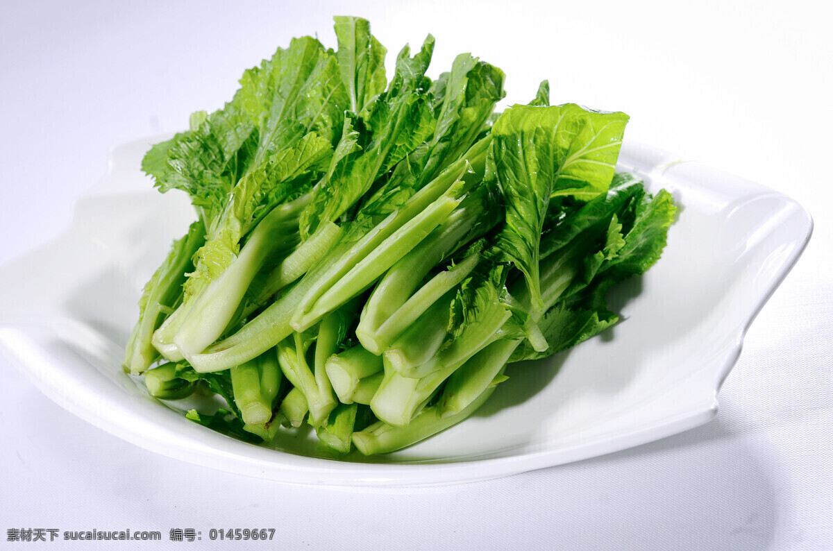 芥菜 植物 健康 有机 时蔬 蔬菜 火锅菜 餐饮美食 传统美食