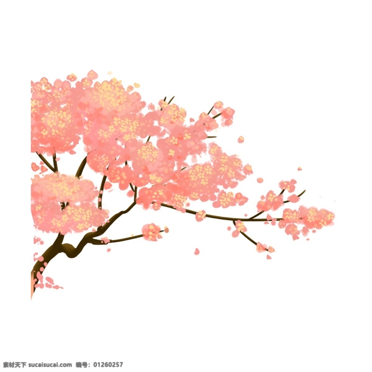 淡 粉色 花枝 手绘 透明 鲜花 png免抠图 透明素材 花卉 装饰 免 抠 图 花朵