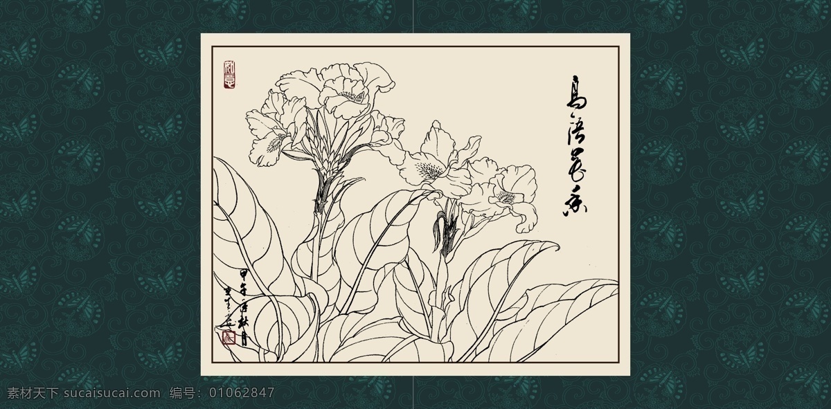 美人蕉 绘画 白描 线描 手绘 国画 毛笔画 工笔 轮廓 印章 书法 装裱 植物 花卉 花草 花鸟 昆虫 白描花卉 文化艺术 绘画书法