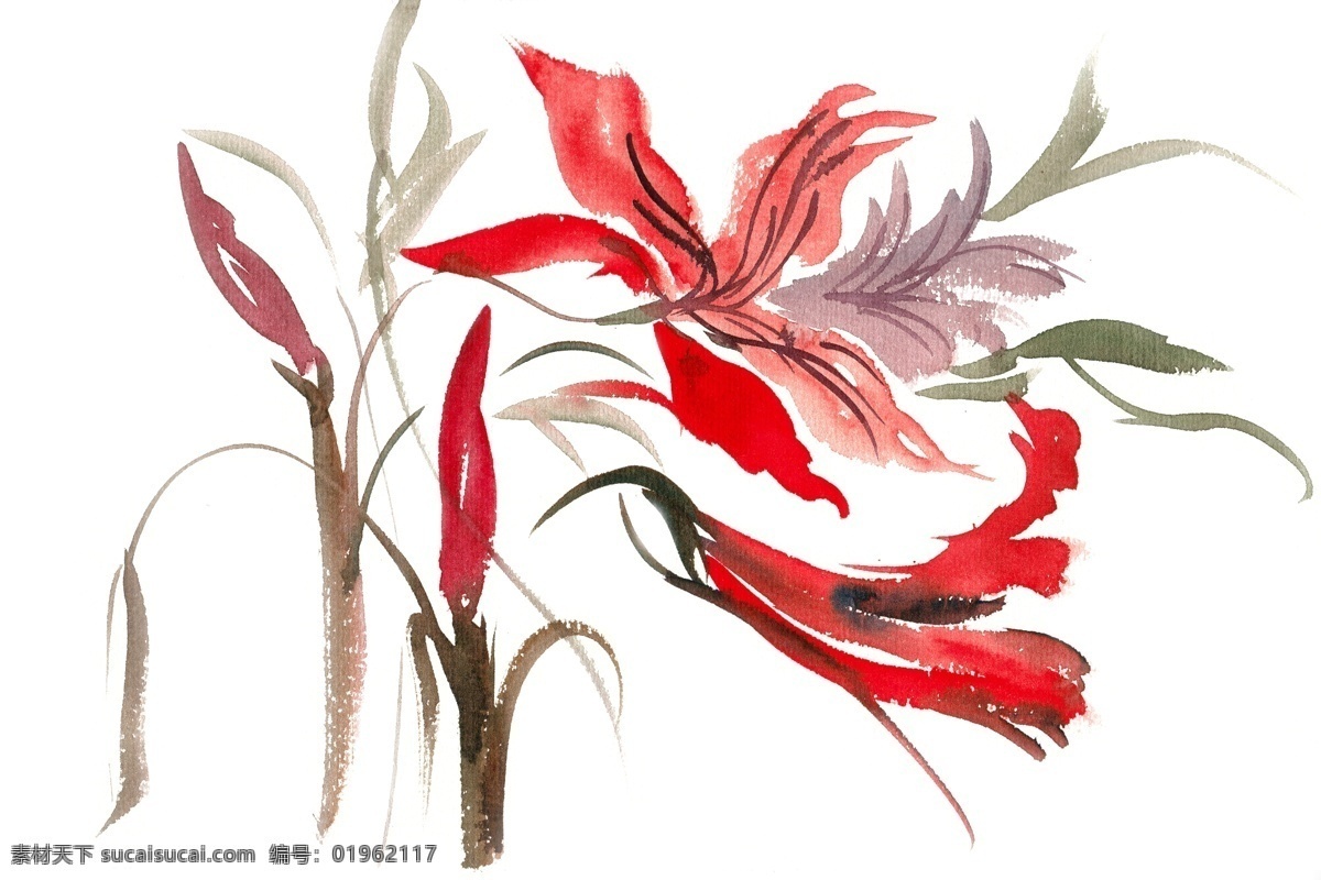 娇艳 花朵 水彩画 免 抠 水彩 透明 手绘 彩色 生态 红色 花卉 花瓣 美丽 写意 免抠 亮丽 清幽 意境 绘画 逼真 写实 简约