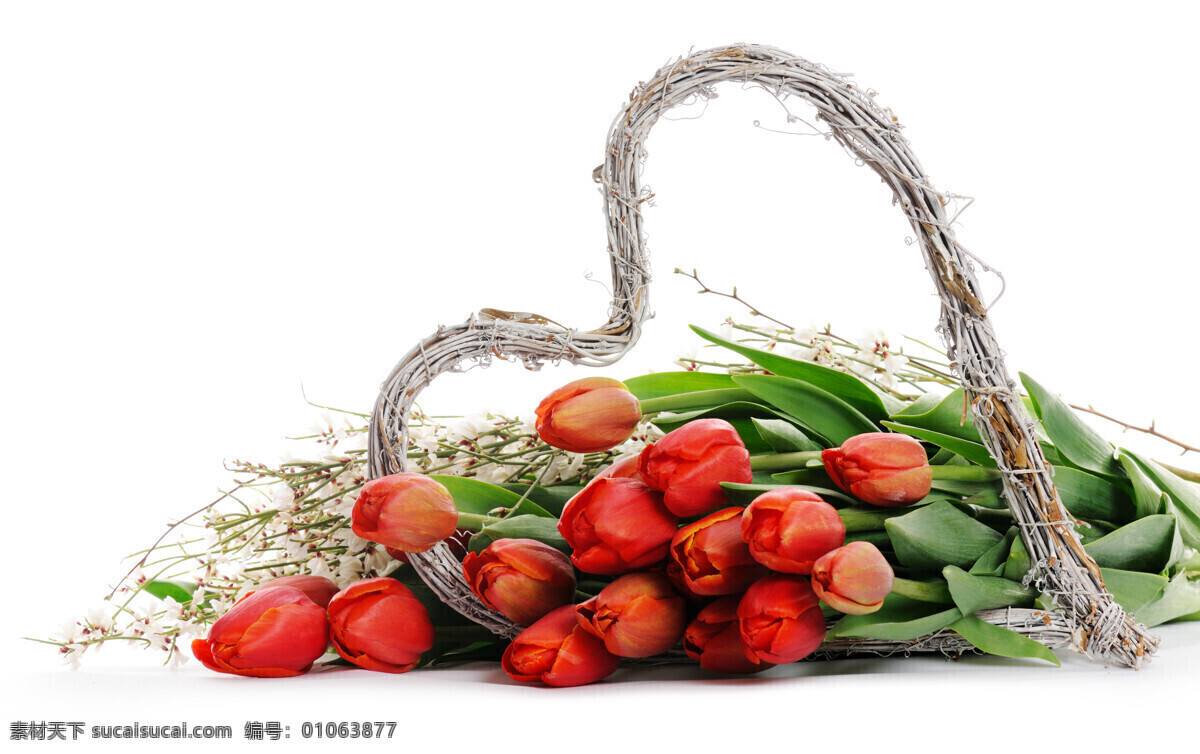 美丽 郁金香 鲜花 桃 心 郁金香鲜花 花卉 花朵 美丽鲜花 桃心 心形 爱心 节日庆典 生活百科