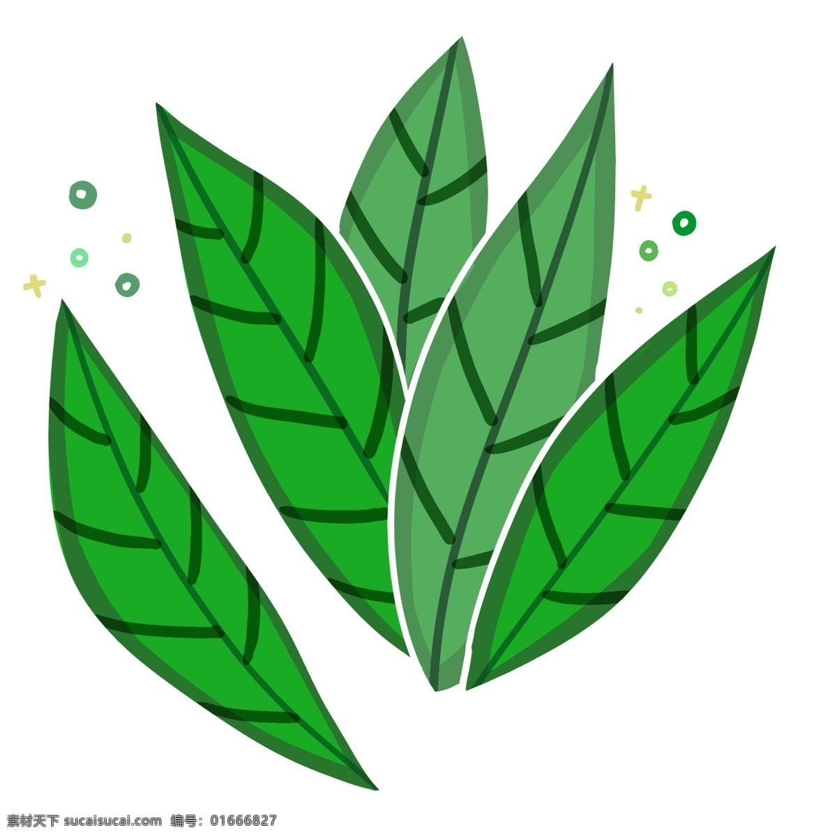 立体 植物 树叶 图案 墨绿