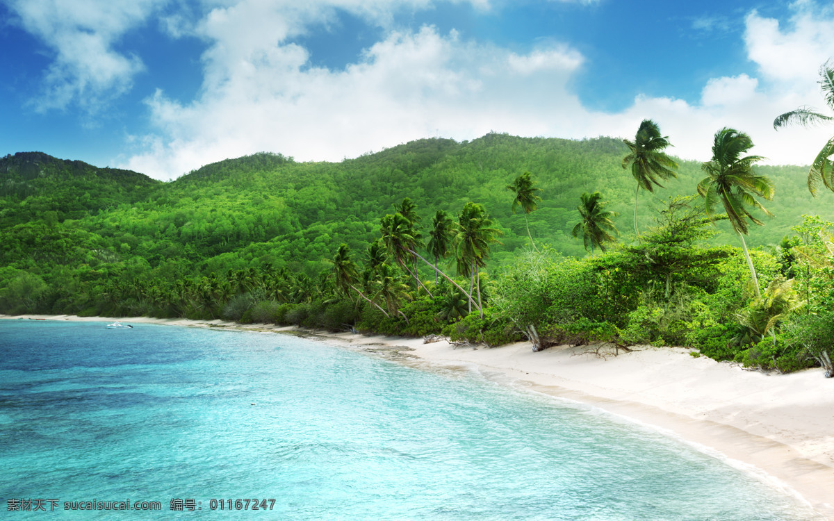 海边风景 绿色清新 唯美海边 绿色植物 海边 大海 海水