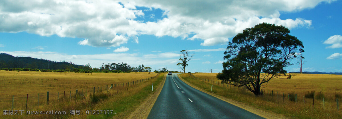 澳洲 塔斯马尼亚 公路 草原 草地 青草 旅游 风光 风景 国外风景 国外旅游 旅游摄影 青色 天蓝色