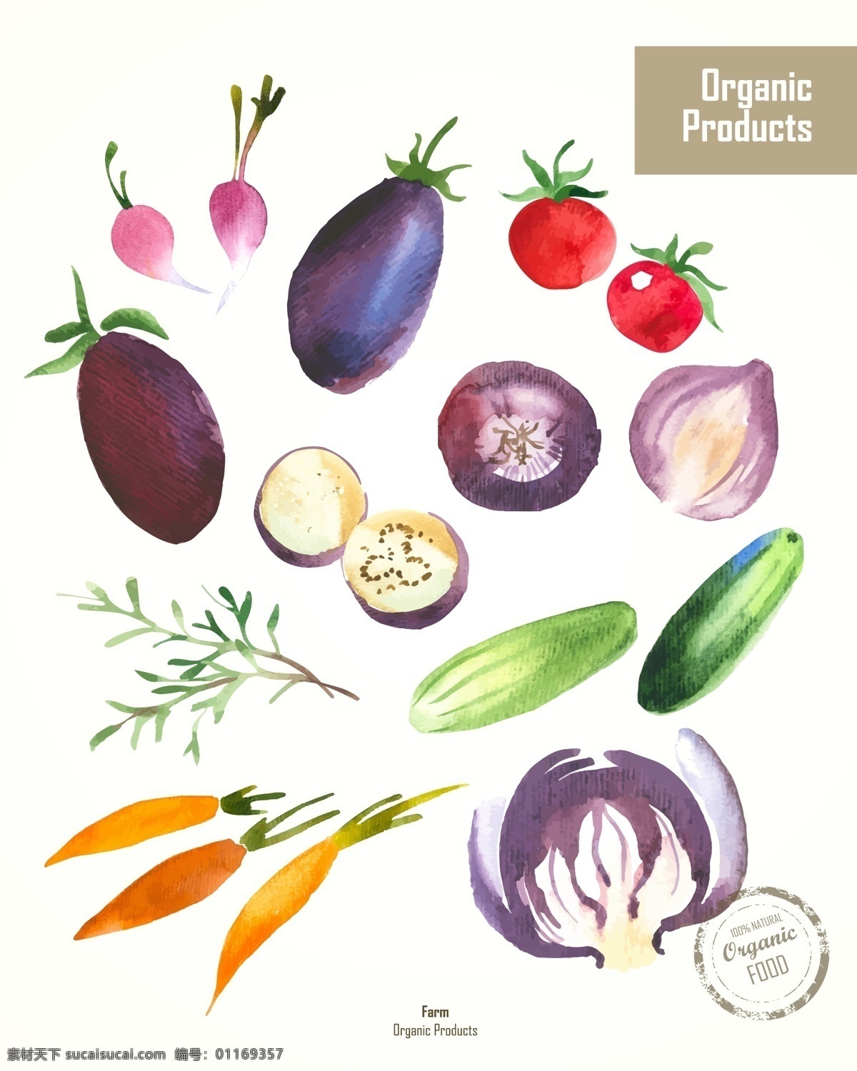 清新 水彩 绘 蔬菜 插画 胡萝卜 黄瓜 茄子 手绘 水彩绘