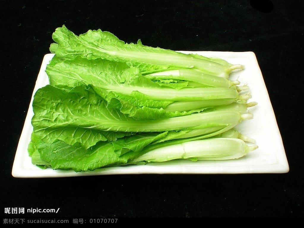 小白菜 蔬菜 绿色 新鲜 盘子 食物 原料 餐饮美食 食物原料 摄影图库