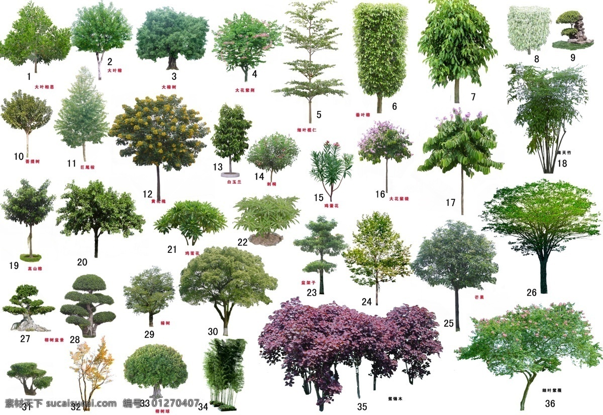树木 图 psd分层图 树木素材 源文件 植物 psd源文件