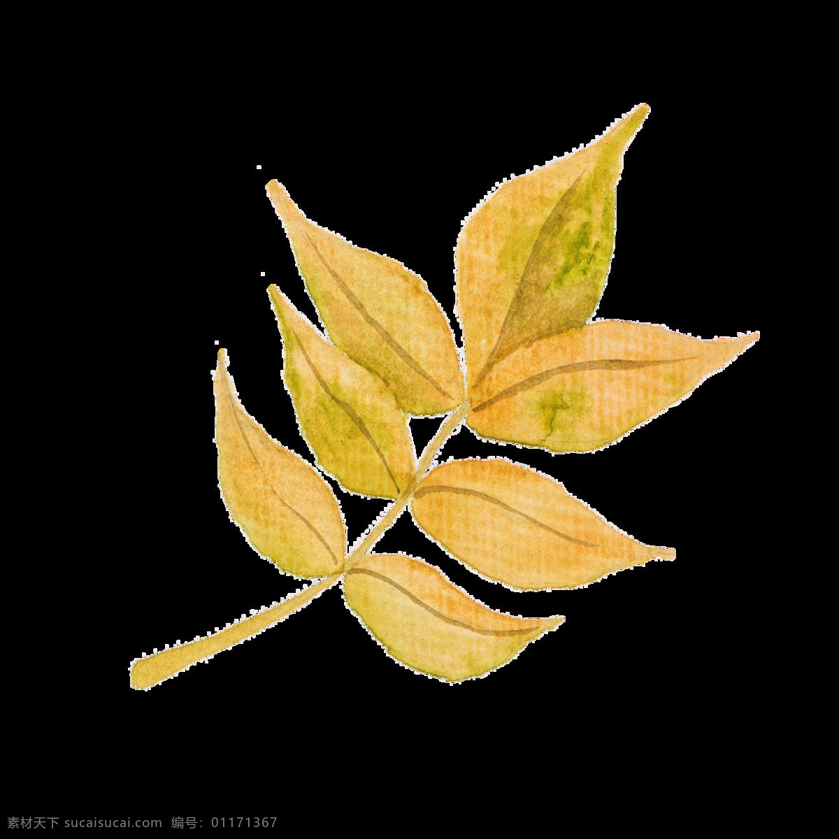 秋天 枯叶 透明 装饰 黄色 叶子 枯萎 矢量素材 设计素材