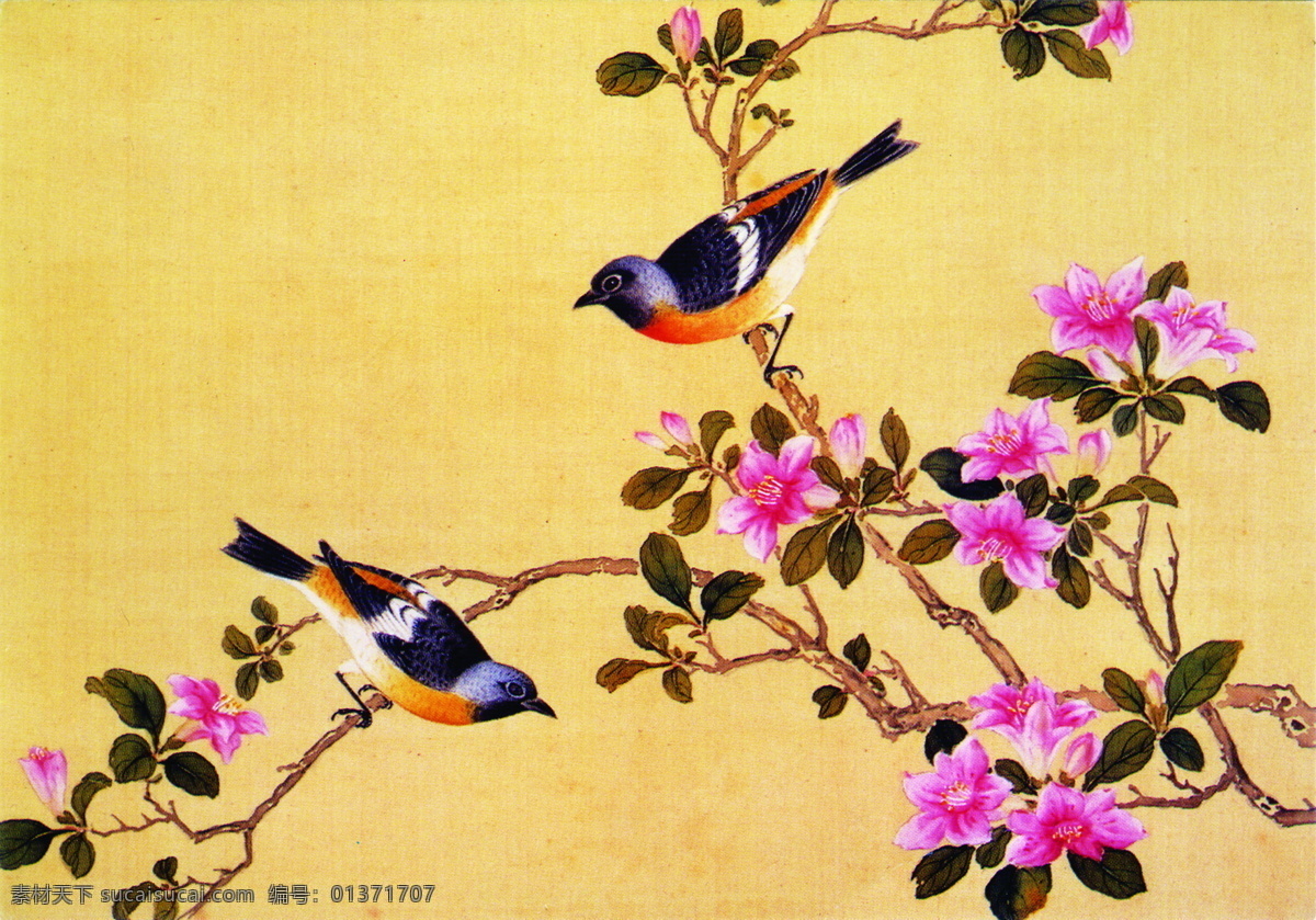 小鸟 枝头 白描 工笔 国画 花鸟 绘画 水墨 文化艺术 艺术 中国画 装饰