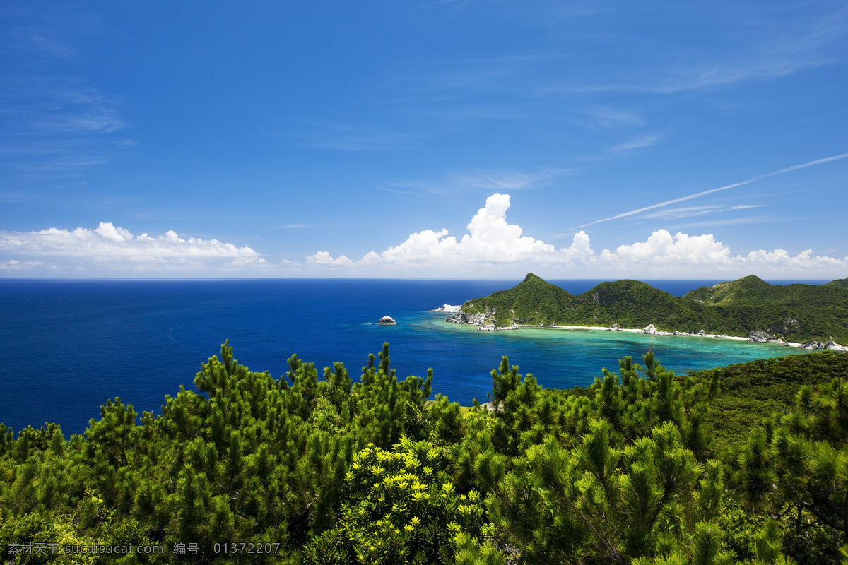 海天 一线 海边 海景 杉树 海天一线 半岛 风景 生活 旅游餐饮