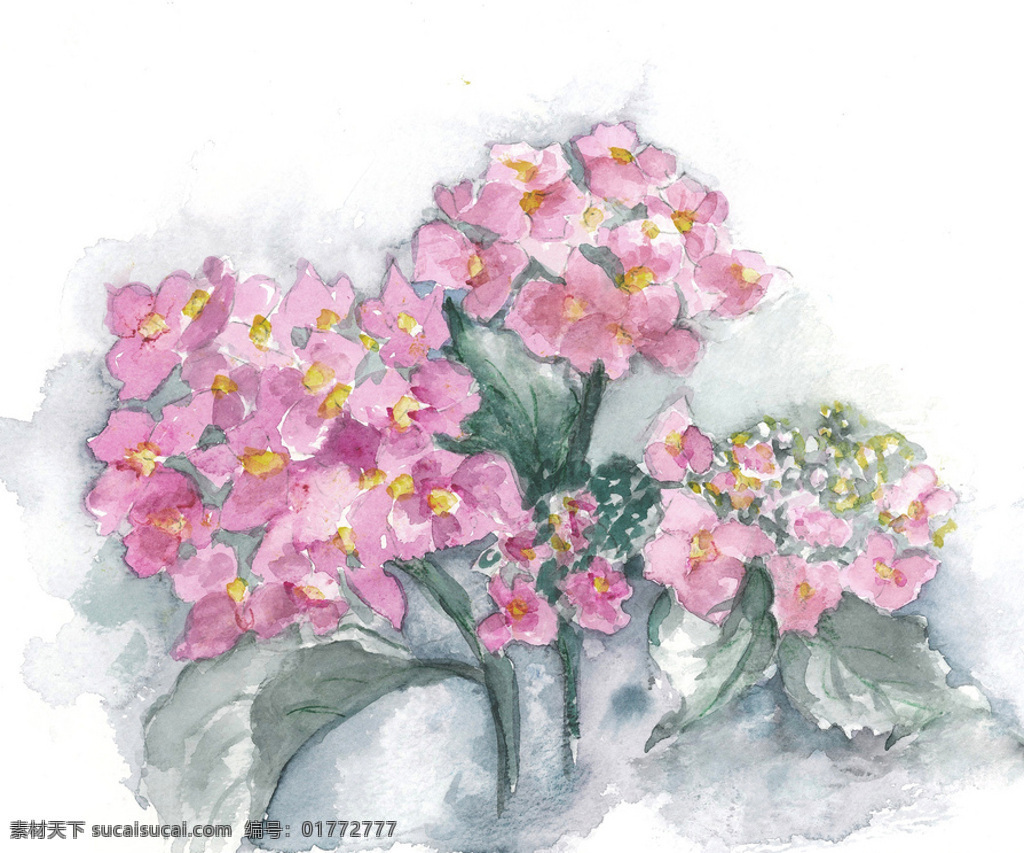 位图 植物 写意花卉 花朵 免费素材 面料图库 服装图案 白色