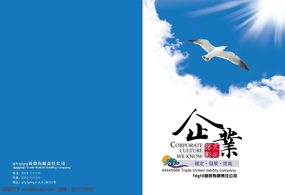 宣传册封皮 封皮 画册 雄鹰 太阳 企业 通讯录 文化 白云 祥云 章 蓝色 天空 画册设计