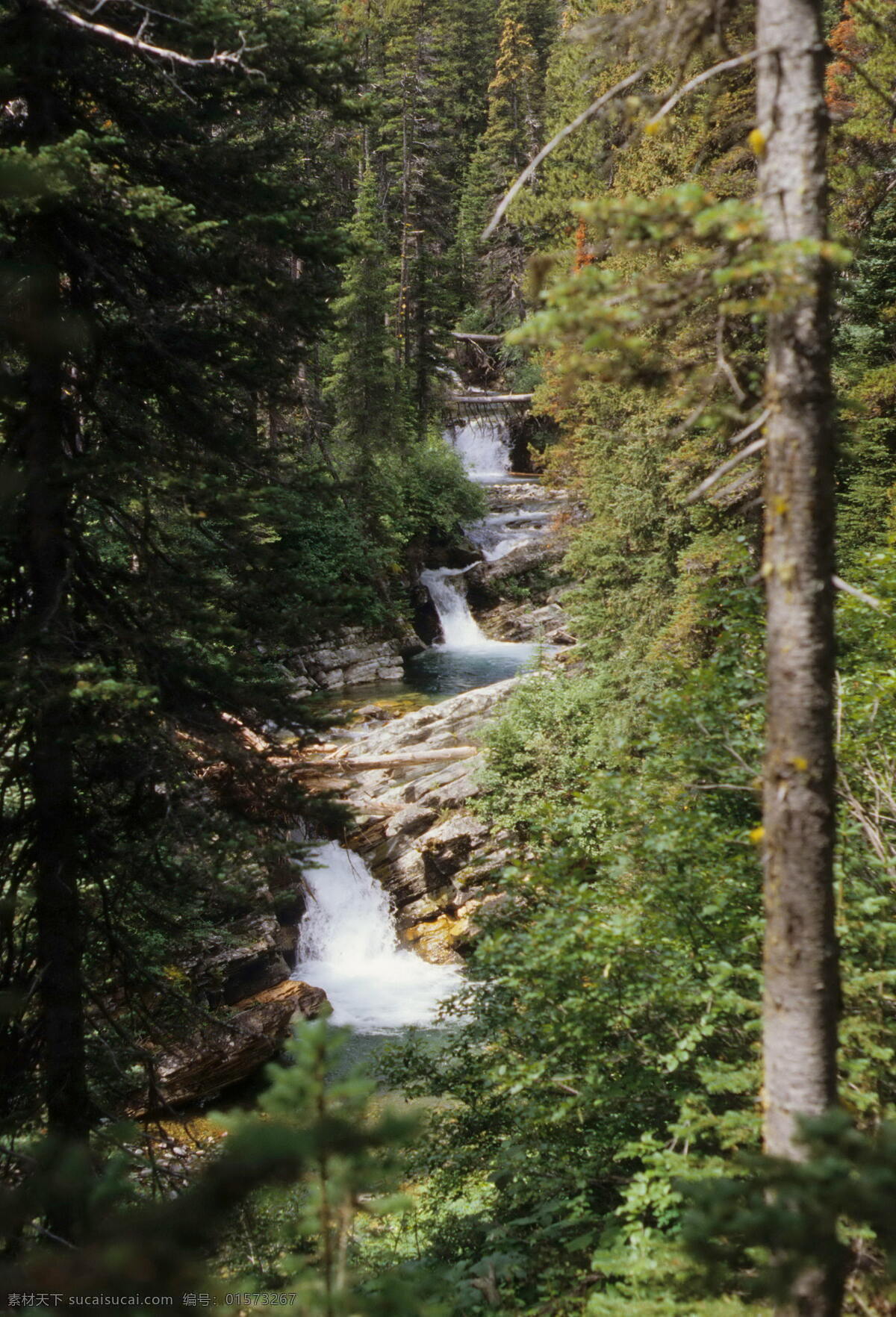 山间 小溪 溪水 山水风景 美景 山水摄影 风景摄影 大好河山 自然景观 山川河流 风景图片