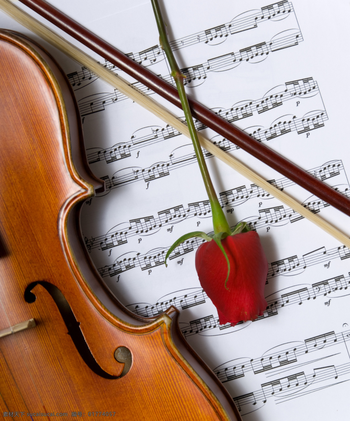 小提琴 红玫瑰 乐谱 乐器 玫瑰花 文化艺术 舞蹈音乐 木质小提琴 红木小提琴 psd源文件