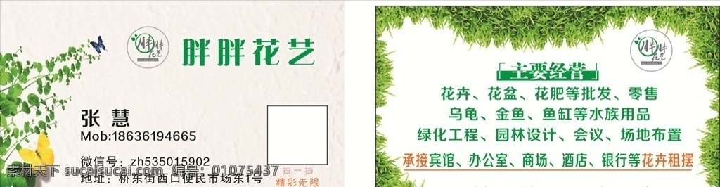 鲜花名片 蝴蝶 绿叶 鲜花 小草 高档背景