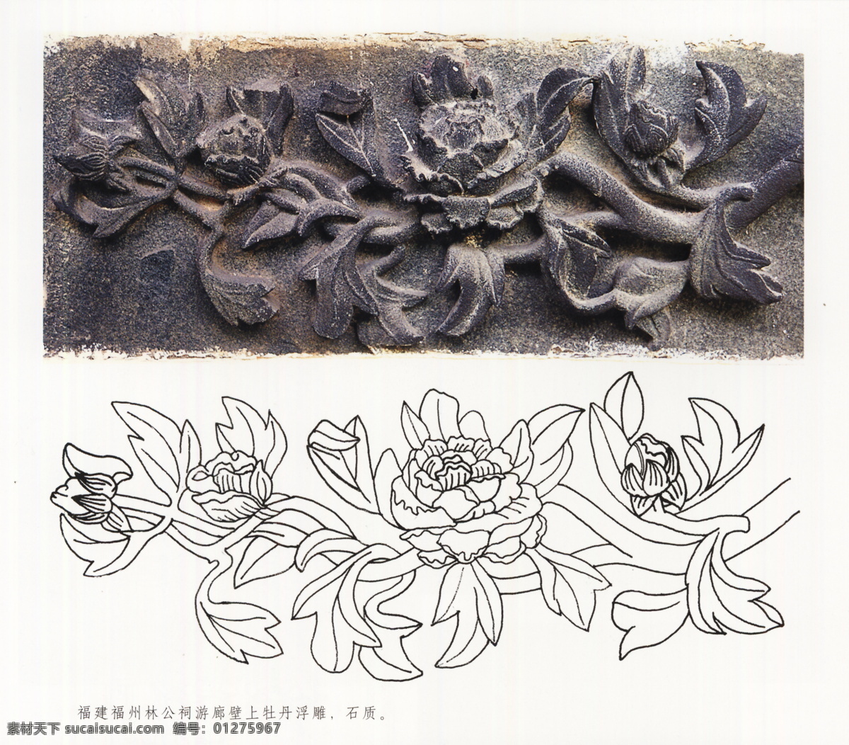 古代建筑 雕刻 纹饰 草木花卉 牡丹月季 设计素材 古建图案 其他资料 建筑装饰 白色