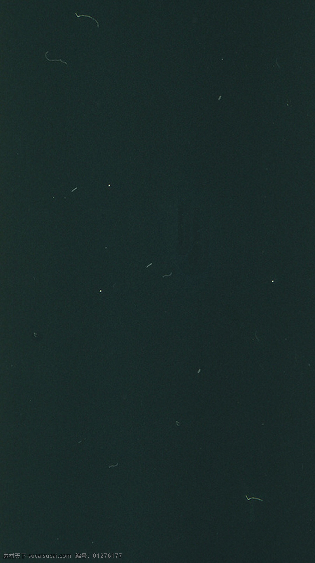 简约 黑色 h5 背景 白色 星光点 黑底 h5背景