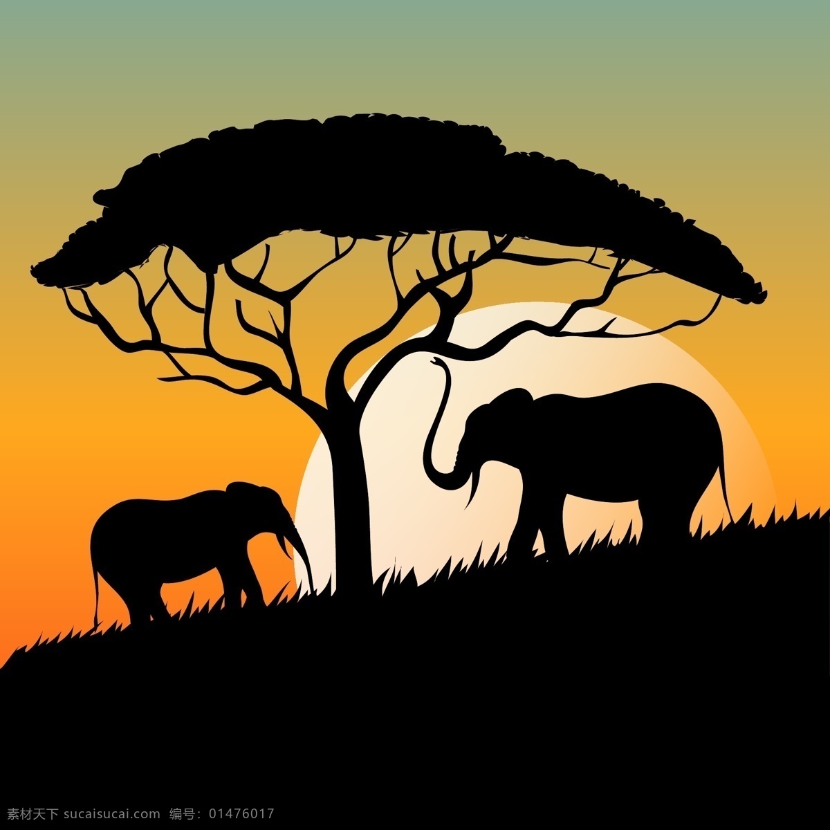 非洲 日落 大象 非洲日落 与大象 剪影 免费矢量 背景 树设计 web图形 象 太阳 插画