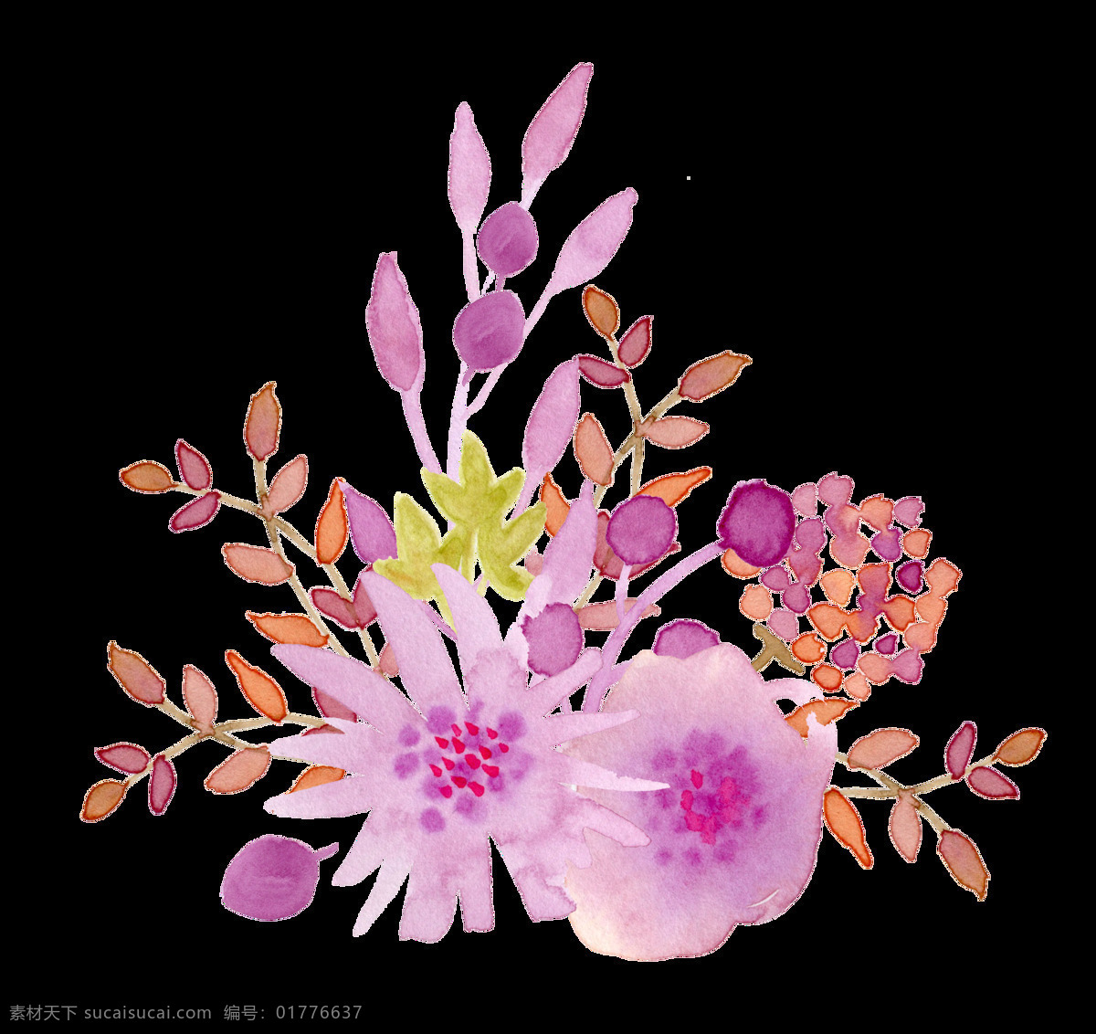 水彩 淡雅 紫色 花 透明 高贵 果子 橙色 叶子 两朵大花 透明素材 免扣素材 装饰图片