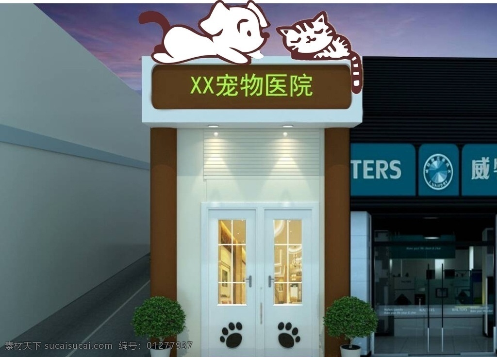 狗猫 狗 猫 宠物 动物 宠物医院 cdt 图片模板 白狗 花猫 大狗 小狗 大猫 小猫 卡通狗 卡通猫 标识 绘画 真狗 真猫