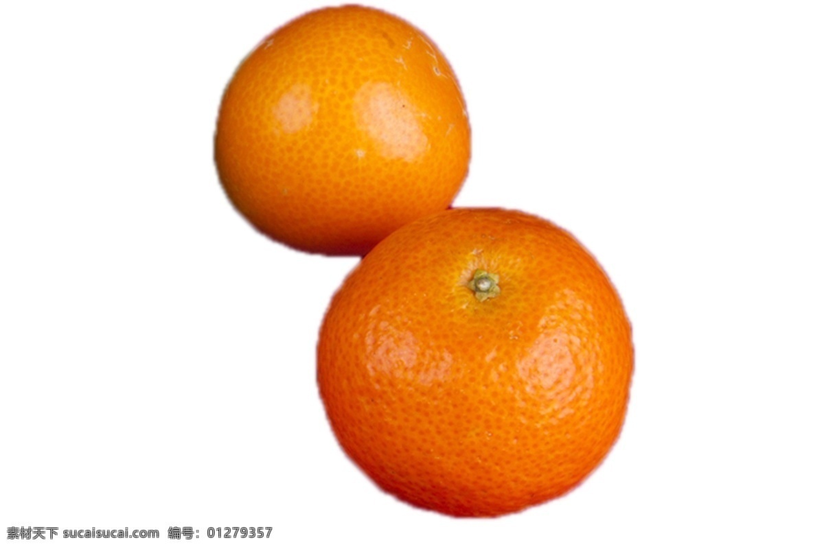 两个 皮 薄 甘甜 橘子 皮薄 新鲜 好吃 绿色 安全 野生 橘子树 成长 植物 美丽 水果 美味