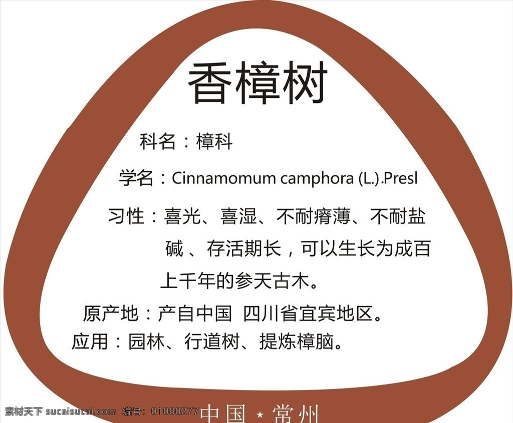 树牌设计 亚克力 香樟树 红色 异形 名片卡片 矢量