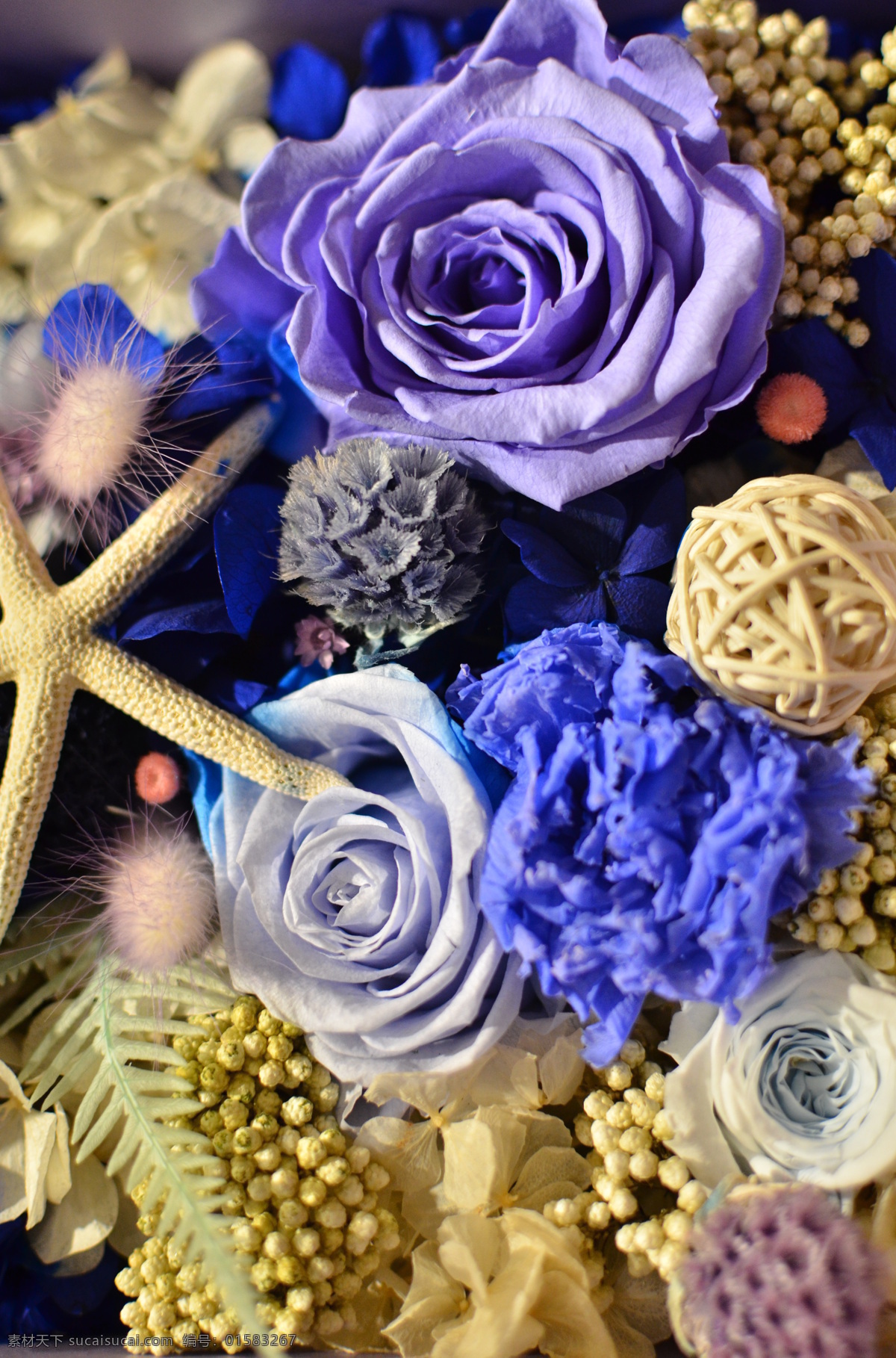 永生花 蓝色海星 画框 干花 蓝色妖姬 玫瑰 礼品 生物世界 花草