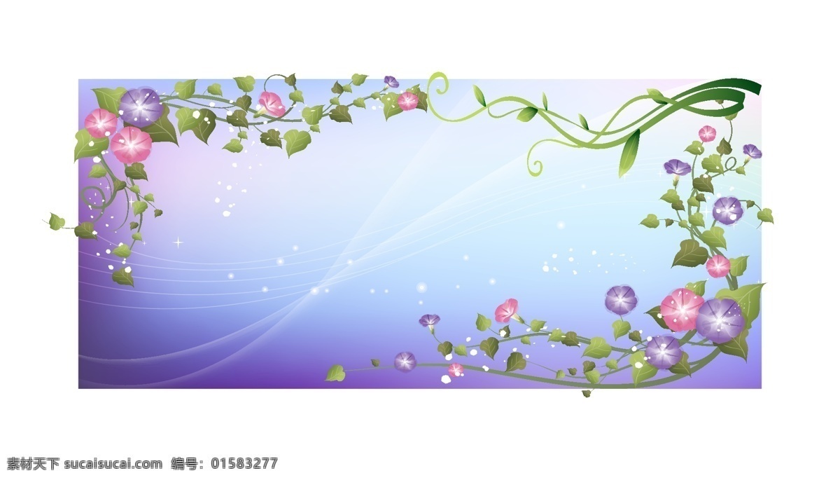 花边 元素 矢量 牵牛花 梦幻 线条 藤蔓 柔和 植物 花朵 花卉 矢量素材 ai格式 底纹边框 花纹花边 矢量图库