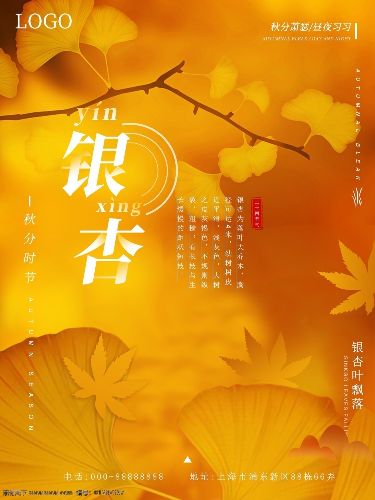 原创 黄色 秋分 银杏 节气 海报 简约 落叶 植物 秋天 二十四节气 银杏树
