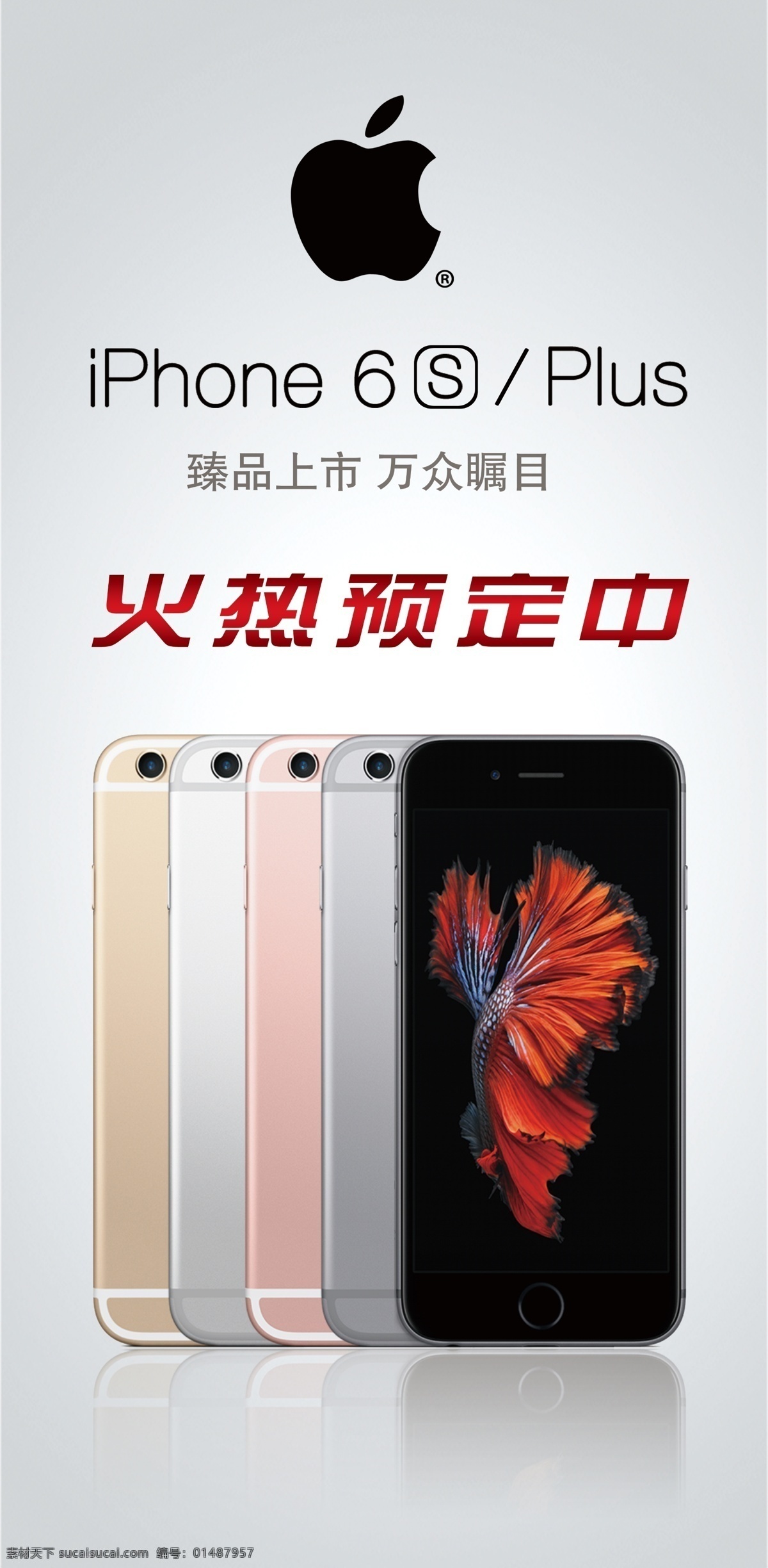 苹果6s 苹果 6s iphone iphone6s 火热预定 分层 白色