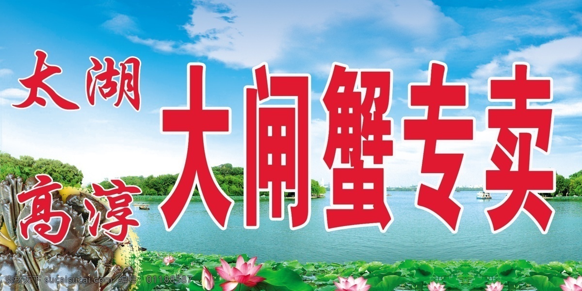 太湖大闸蟹 太湖 大闸蟹 广告 传单 水产