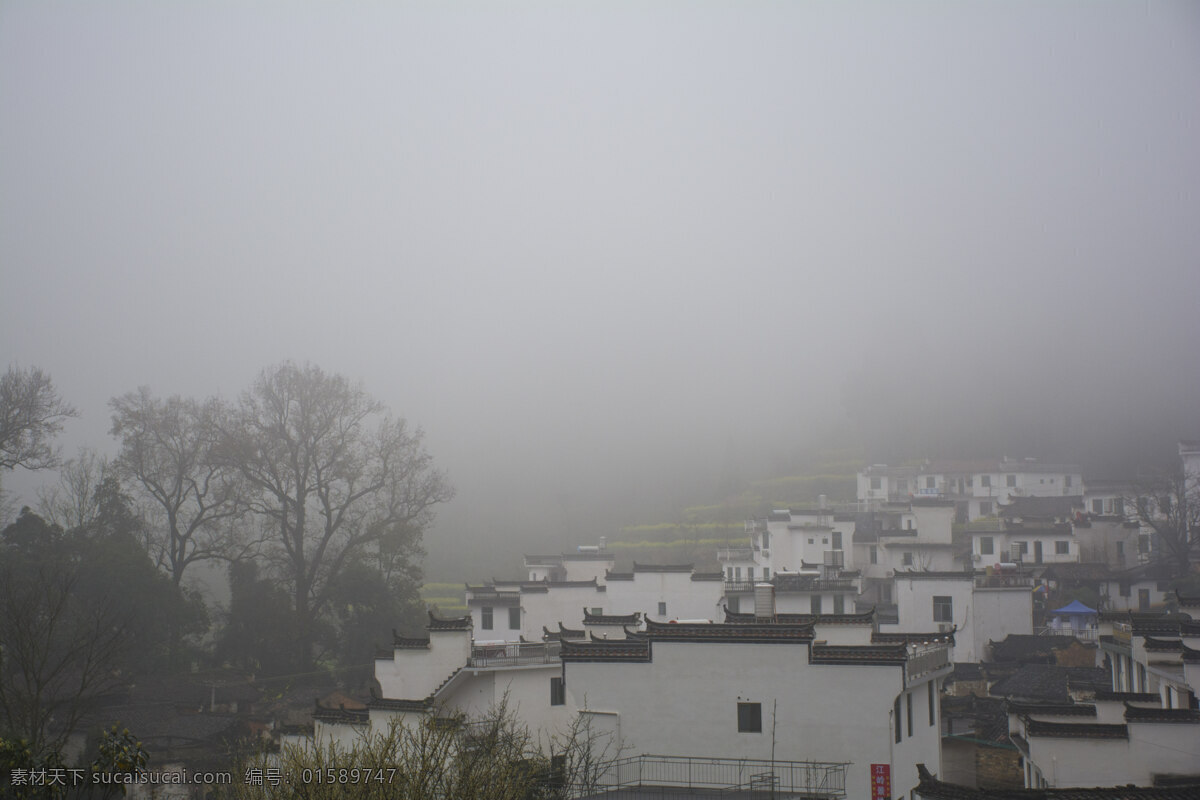 婺源三月烟雨 婺源 江岭 徽式建筑 桃花 烟雨 江南 三月 婺源江岭 旅游摄影 国内旅游 灰色